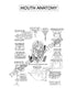 Digestive System Coloring Book (Digital Download)