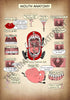 A4 PDF Complete Digestive System E-book