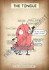 A4 PDF Complete Digestive System E-book