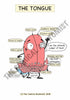 Digestive System Printable Flashcards