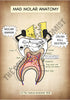 A4 PDF Complete Digestive System E-book