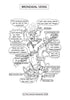 Respiratory System Coloring Book (Digital Product)