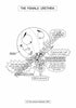Urinary System Coloring Book