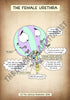 A4 PDF Complete Urinary System E-book