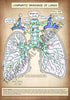 A4 PDF Complete Respiratory System E-book
