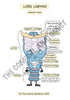Respiratory System Printable Flashcards