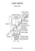Respiratory System Coloring Book (Digital Product)