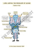 Respiratory System Printable Flashcards