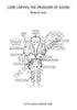Respiratory System Coloring Book (Digital Product)