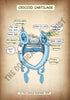 A4 PDF Complete Respiratory System E-book