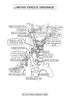 Respiratory System Coloring Book (Digital Product)