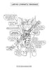 Respiratory System Coloring Book (Digital Product)