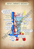 A4 PDF Complete Respiratory System E-book