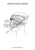 Respiratory System Coloring Book (Digital Product)