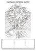 Digestive System Coloring Book (Digital Download)