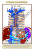 Digestive System Printable Flashcards