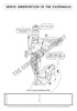 Digestive System Coloring Book (Digital Download)