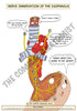 Digestive System Printable Flashcards