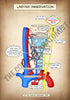 A4 PDF Complete Respiratory System E-book