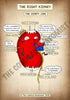 A4 PDF Complete Urinary System E-book