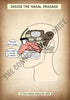 A4 PDF Complete Respiratory System E-book