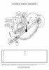 Digestive System Coloring Book (Digital Download)
