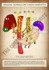 A4 PDF Complete Digestive System E-book