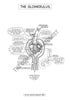 Urinary System Coloring Book