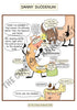 Digestive System Printable Flashcards