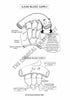 Digestive System Coloring Book (Digital Download)