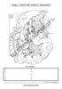 Digestive System Coloring Book (Digital Download)