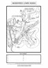 Digestive System Coloring Book (Digital Download)