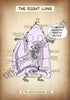 A4 PDF Complete Respiratory System E-book