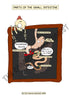 Digestive System Printable Flashcards