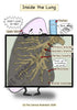 Respiratory System Printable Flashcards