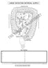 Digestive System Coloring Book (Digital Download)