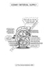 Urinary System Coloring Book