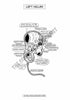 Respiratory System Coloring Book (Digital Product)
