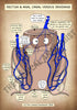 A4 PDF Complete Digestive System E-book