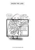 Respiratory System Coloring Book (Digital Product)