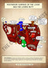 A4 PDF Complete Digestive System E-book