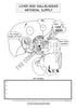 Digestive System Coloring Book (Digital Download)