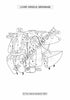 Digestive System Coloring Book (Digital Download)