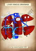 A4 PDF Complete Digestive System E-book