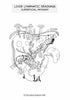 Digestive System Coloring Book (Digital Download)