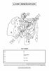 Digestive System Coloring Book (Digital Download)