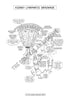 Urinary System Coloring Book