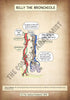 A4 PDF Complete Respiratory System E-book