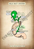 A4 PDF Complete Digestive System E-book