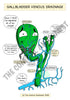 Digestive System Printable Flashcards